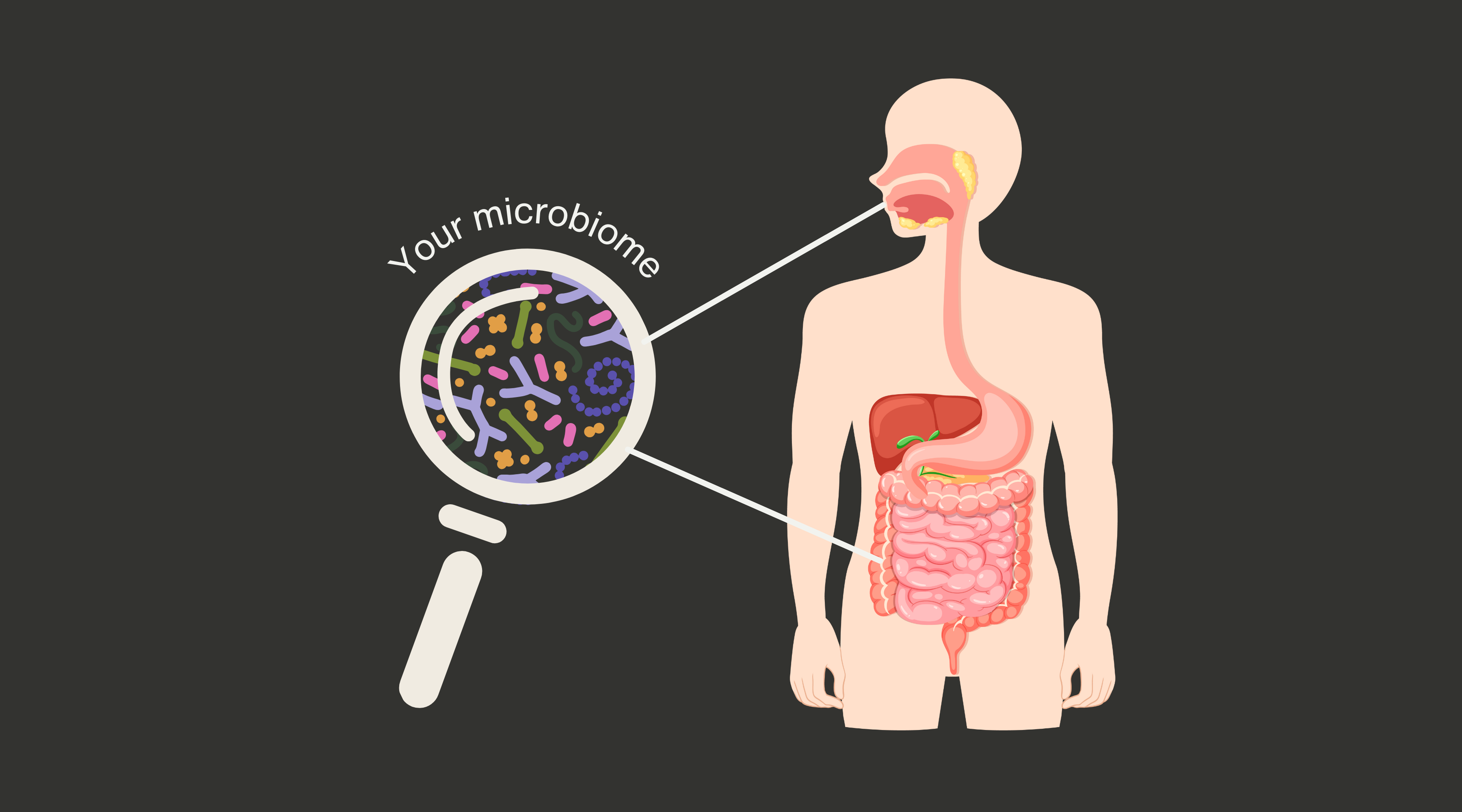 Healthy mouth, healthy body! Why our oral microbiome is so important...